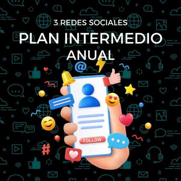 Plan Intermedio Anual